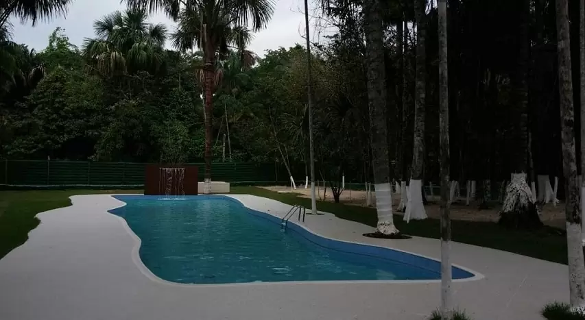 Nascentes do Tarumã - Foto 2