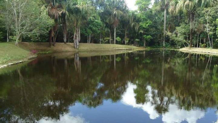 Nascentes do Tarumã - Foto 3