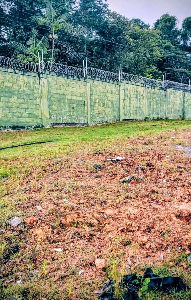 Lote com 413m2 na Quinta das Marinas - 3