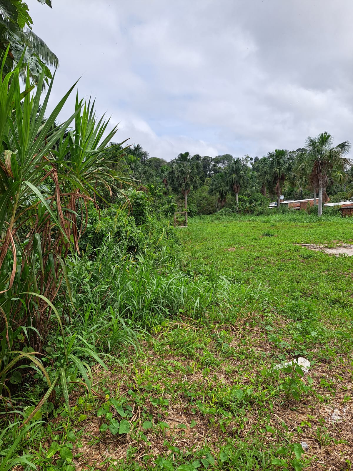 Terreno no Bairro União da Vitória 5.000m2